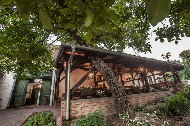 Hotel Stari Podrum Илок Экстерьер фото
